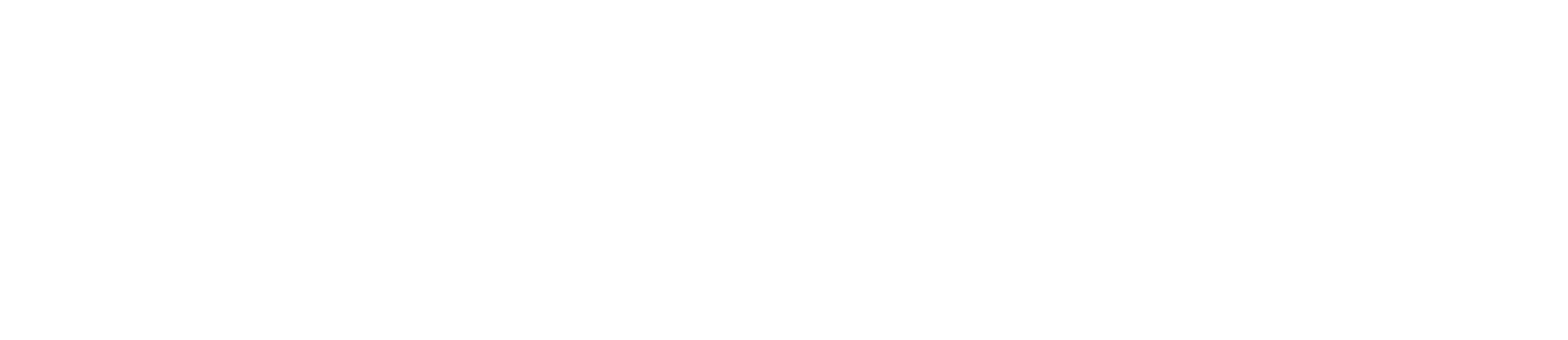 white StageSmarts logo